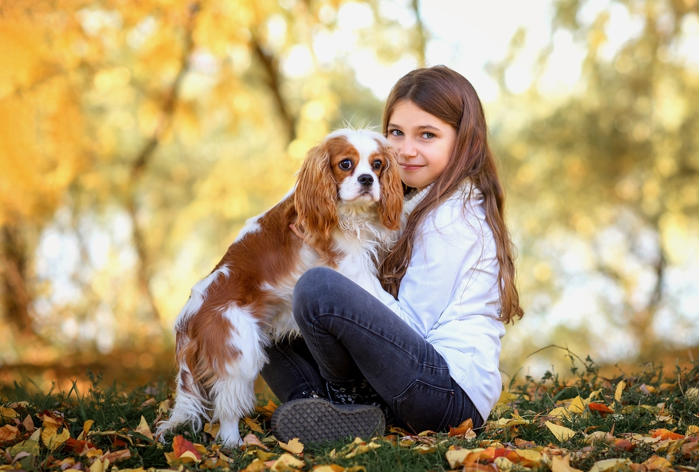 A Cavachon